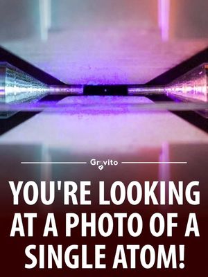 Image post by @gravitonomy on Instagram