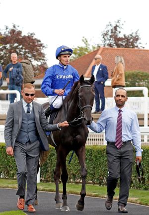 Image post by @godolphin on Instagram