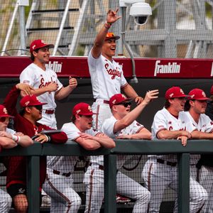 Image post by @bcbirdball on Instagram