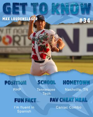 Image post by @ilmsharks on Instagram