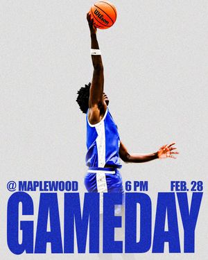 Image post by @whbdpbasketball on Instagram