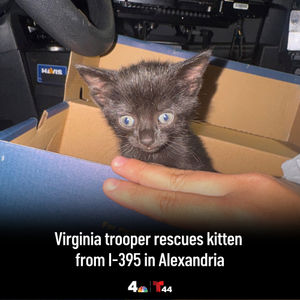 Image post by @nbcwashington on Instagram
