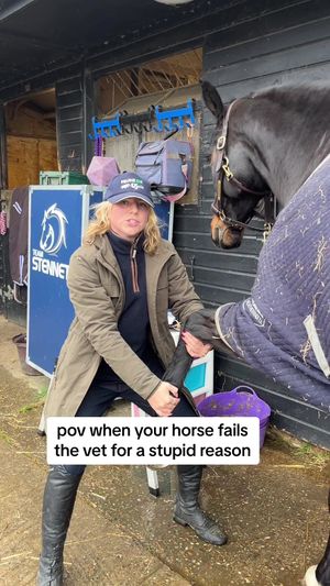Video post by @millicentstennett on TikTok