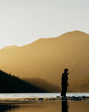 Image post by @yeti on Instagram