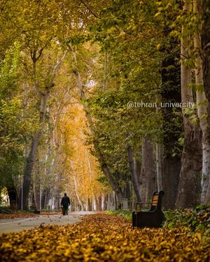 Image post by @tehran_university on Instagram