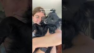 Video post by @maddie_mastro on YouTube
