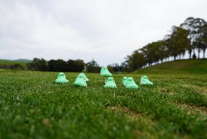 Image post by @AJGAGolf on Twitter