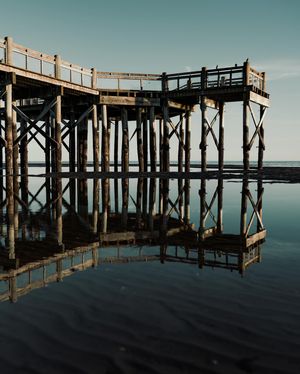 Image post by @danigoinhamm on Instagram