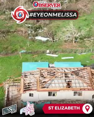 Image post by @jamaicaobserver on Instagram