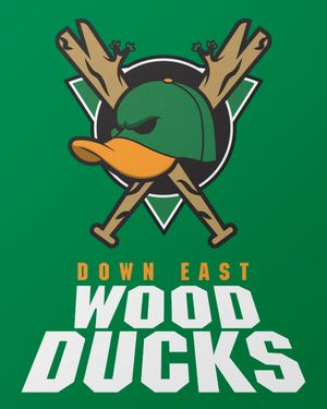 Image post by @GoWoodDucks on Twitter
