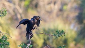 Image post by @huntsphotovideo on Instagram