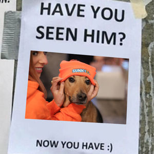 Image post by @sunnydofficial on Instagram