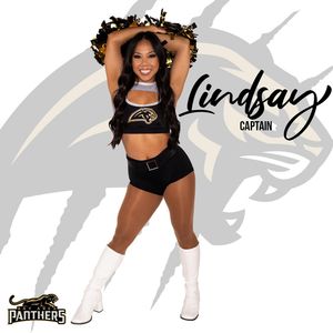 Image post by @panthersdanceteam on Instagram