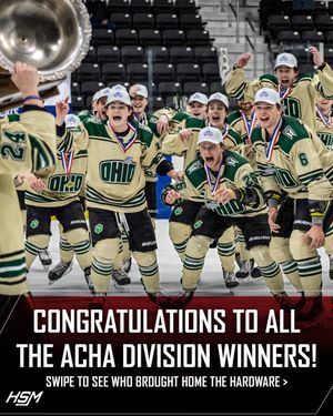 Image post by @hockeystickman on Instagram