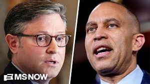 Video post by @msnbc on YouTube
