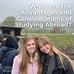Image post by @cieestudyabroad on Instagram