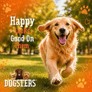 Image post by @dogstersicecream on Instagram