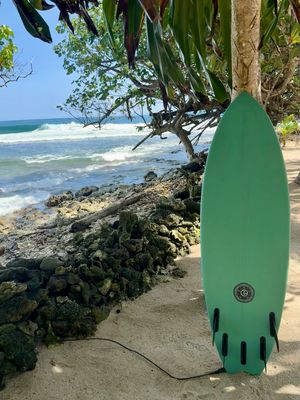 Image post by @elemntsurf on Instagram