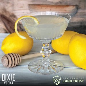 Image post by @dixievodka on Instagram