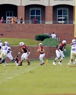 Image post by @elonfb on Instagram