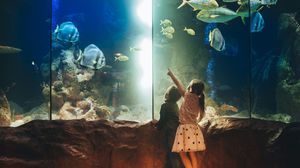 Image post by @amerisbank on Instagram