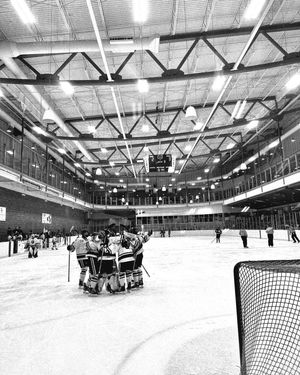 Image post by @yegjrwolves on Instagram