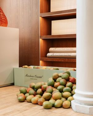 Image post by @mo_hotels on Instagram