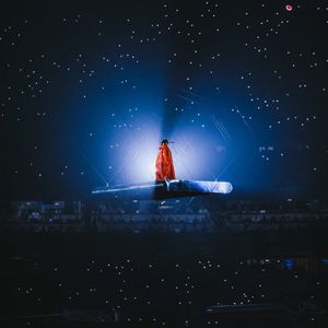 Image post by @aplasticplant on Instagram