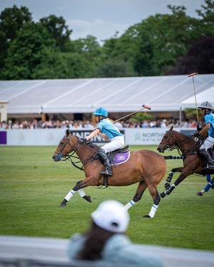 Image post by @polohubsocial on Instagram