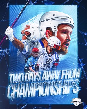 Image post by @nationalballhockeyleague on Instagram