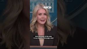 Video post by @kmphfox26 on YouTube