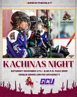 Image post by @womenshockeyasu on Instagram