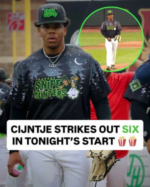Image post by @milb_central on Instagram
