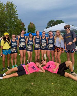 Image post by @chicknlegsrunning on Instagram