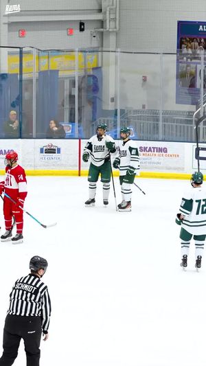 Video post by @fschockey on TikTok