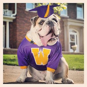 Image post by @westerniluniv on Instagram