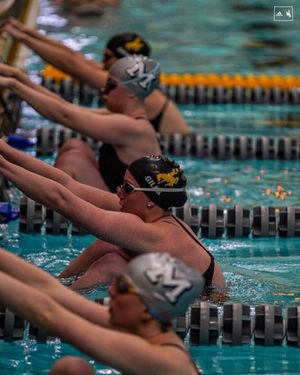 Image post by @wyo_swim_dive on Instagram