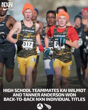 Image post by @dyestat on Instagram