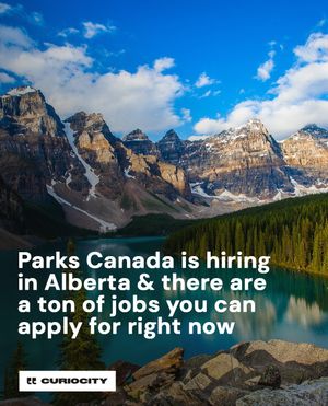Image post by @curiocitycalgary on Instagram