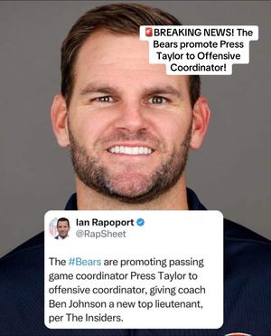 Video post by @bears.talk.today on TikTok