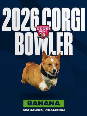 Image post by @littlestumpsracing on Instagram