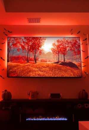 Video post by @sony on TikTok