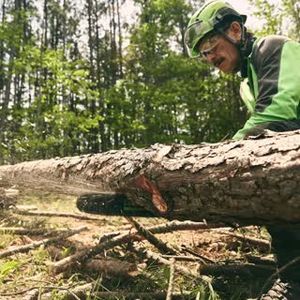 Video post by @greenworkscommercial on Facebook