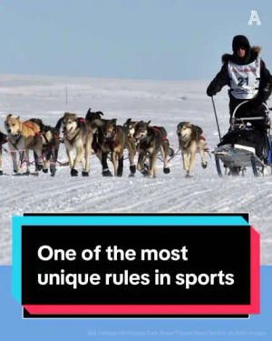 Image post by @theathletic on TikTok