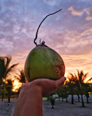 Image post by @vamospuesandres on Instagram