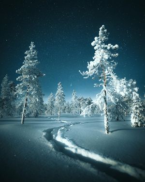Image post by @samimatias on Instagram