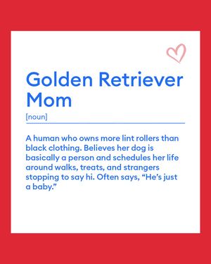 Image post by @petsmart on Instagram