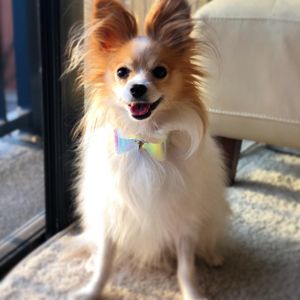 Image post by @icyoohere on Instagram