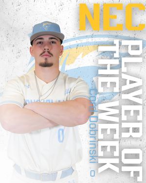 Image post by @liubaseball on Instagram