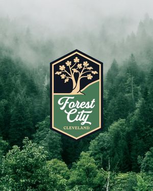 Image post by @MLSNEXTPRO on Twitter